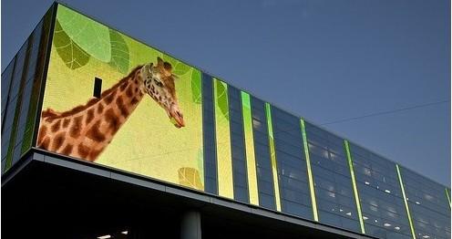 1569487317529126.jpg 1569487317529126.jpg